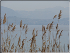 foto Lago di Garda